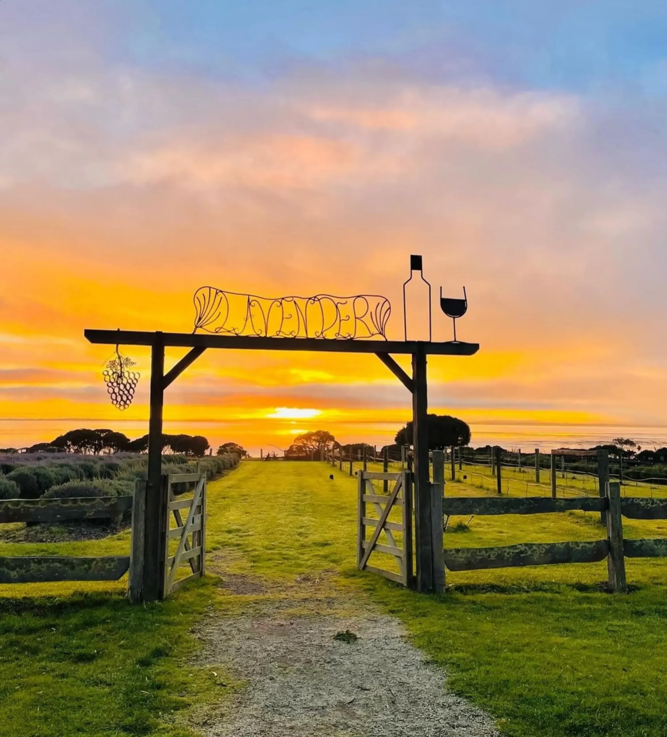 Phillip Island Festival