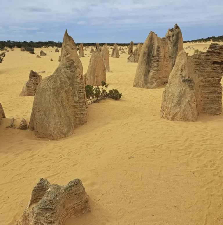 interesting facts about Nambung National Park