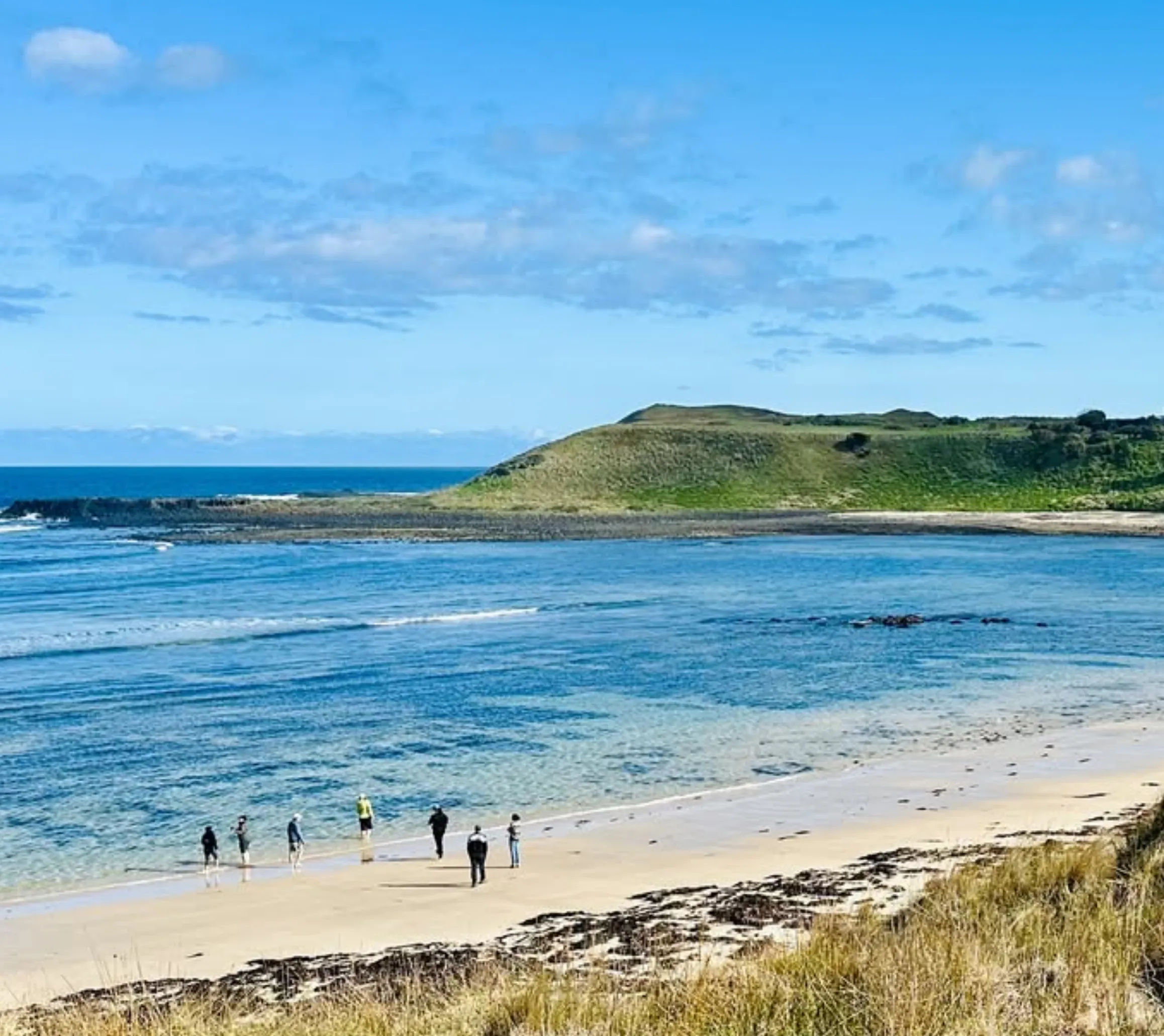 Can you take your car on the ferry to Phillip Island?