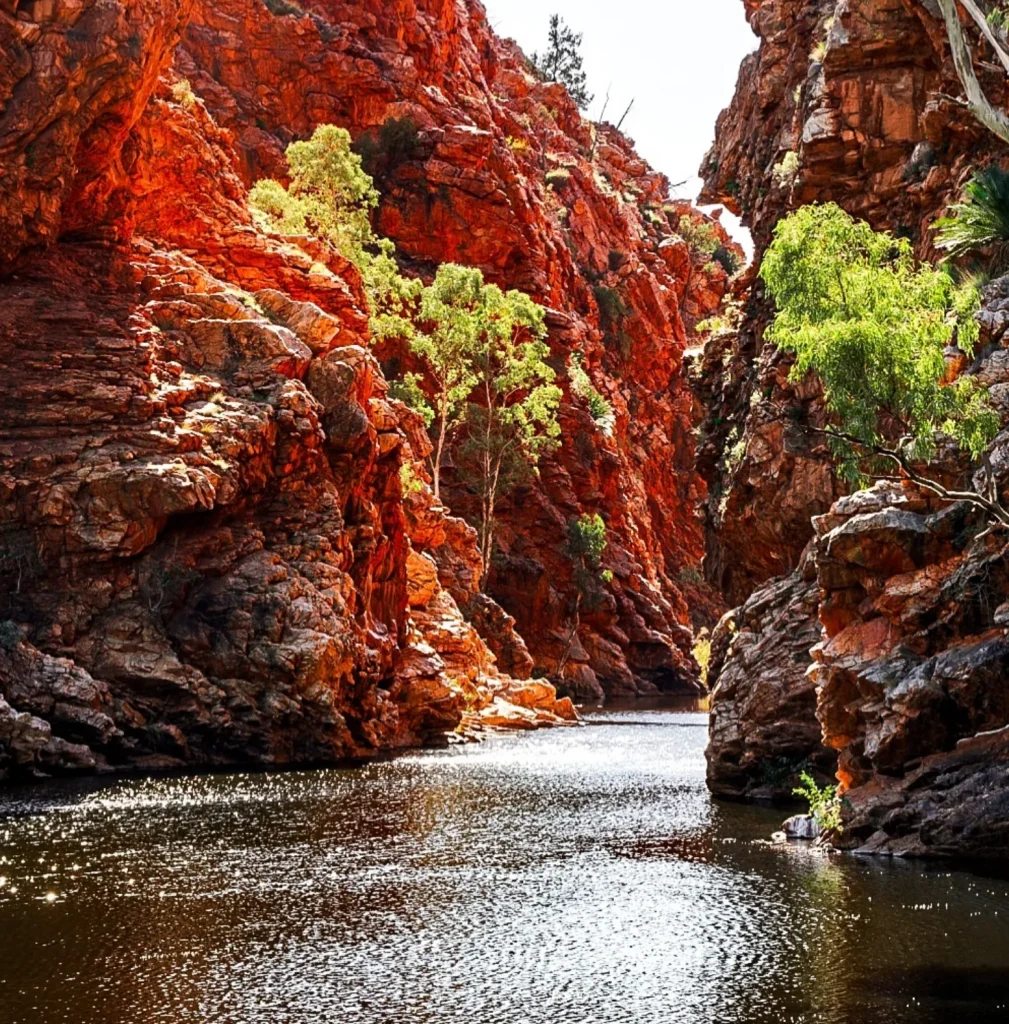 alice springs