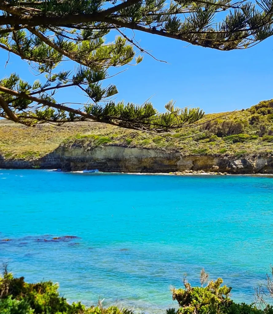 apollo bay