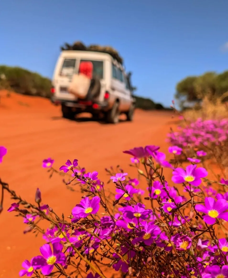 Francois Peron National Park