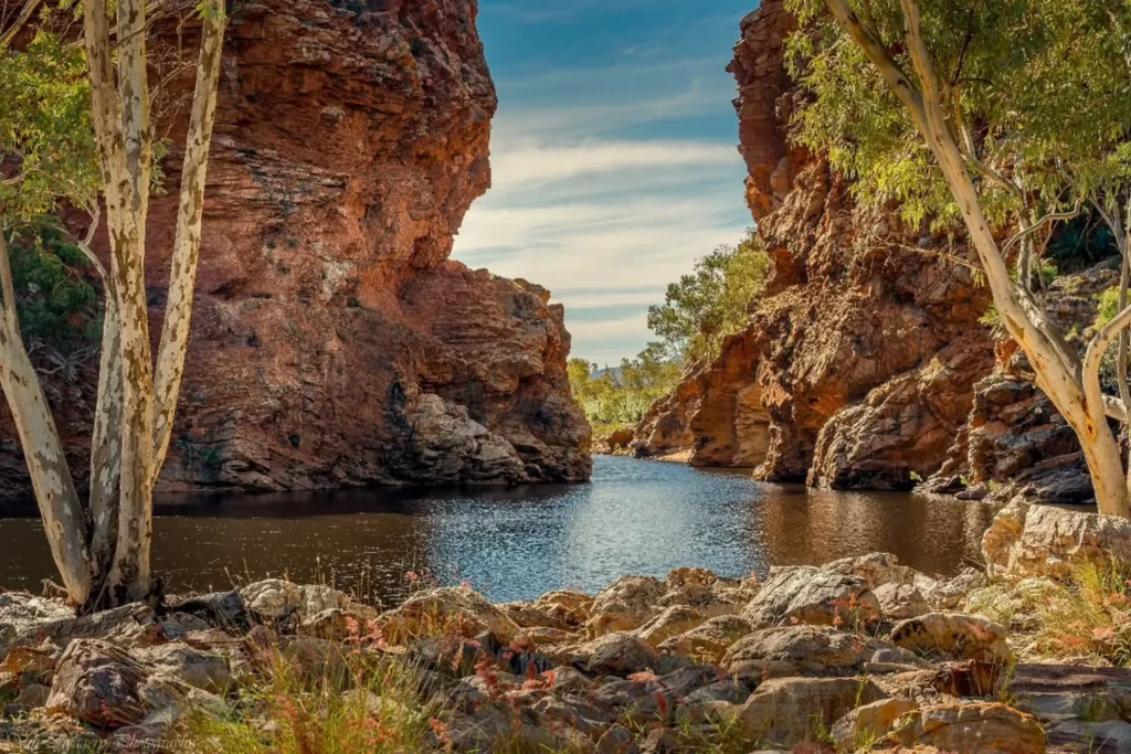 macdonnell ranges larapinta