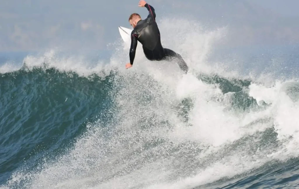 phillip island day tour