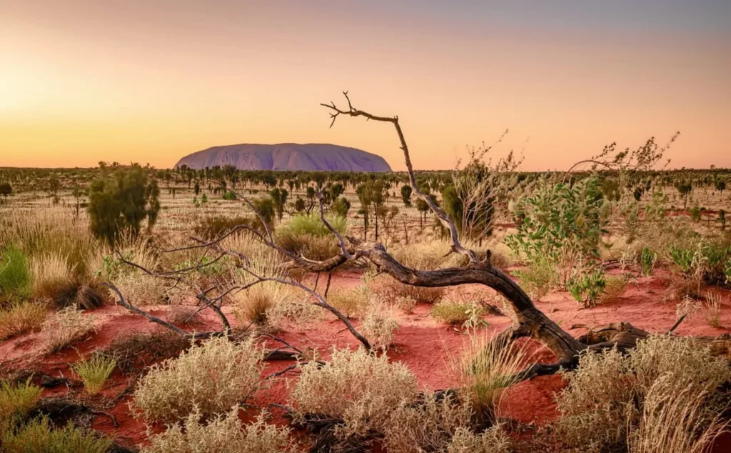 stay at the lost camel hotel uluru