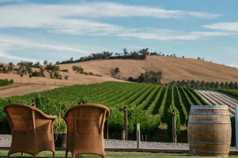 the best breweries and distilleries to visit in yarra valley