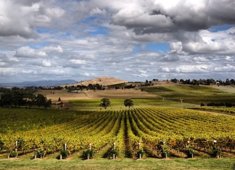 wine tour