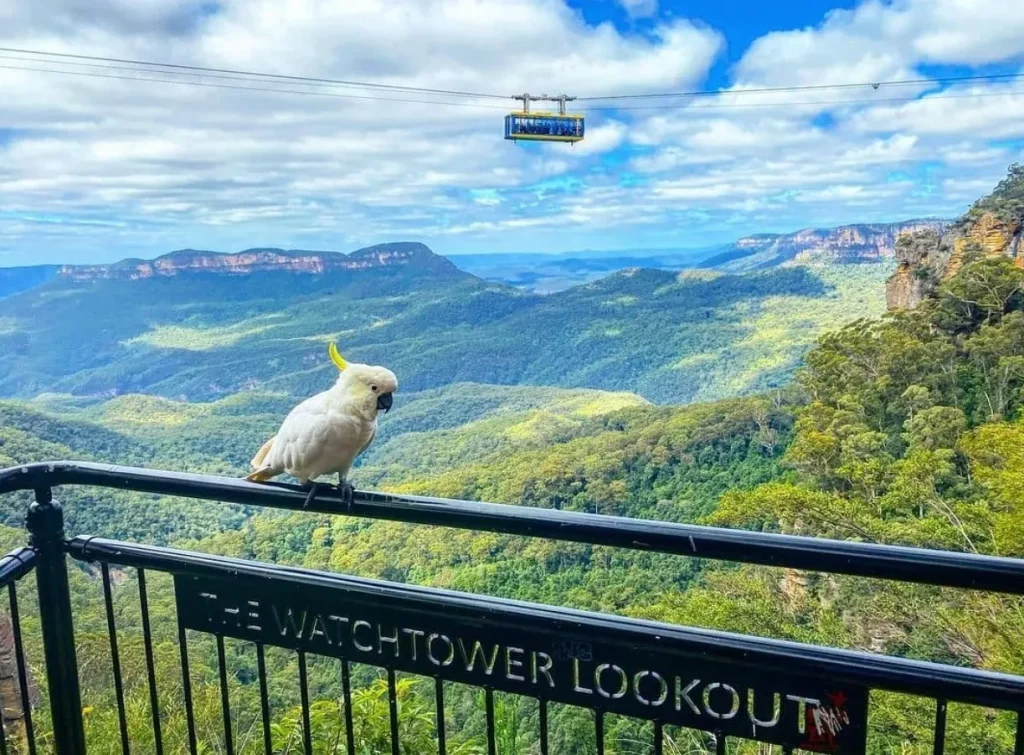 worlds steepest incline railway