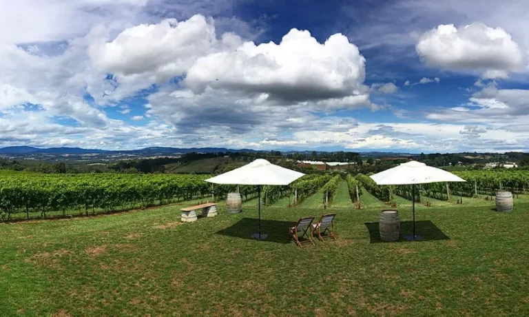 yarra valley