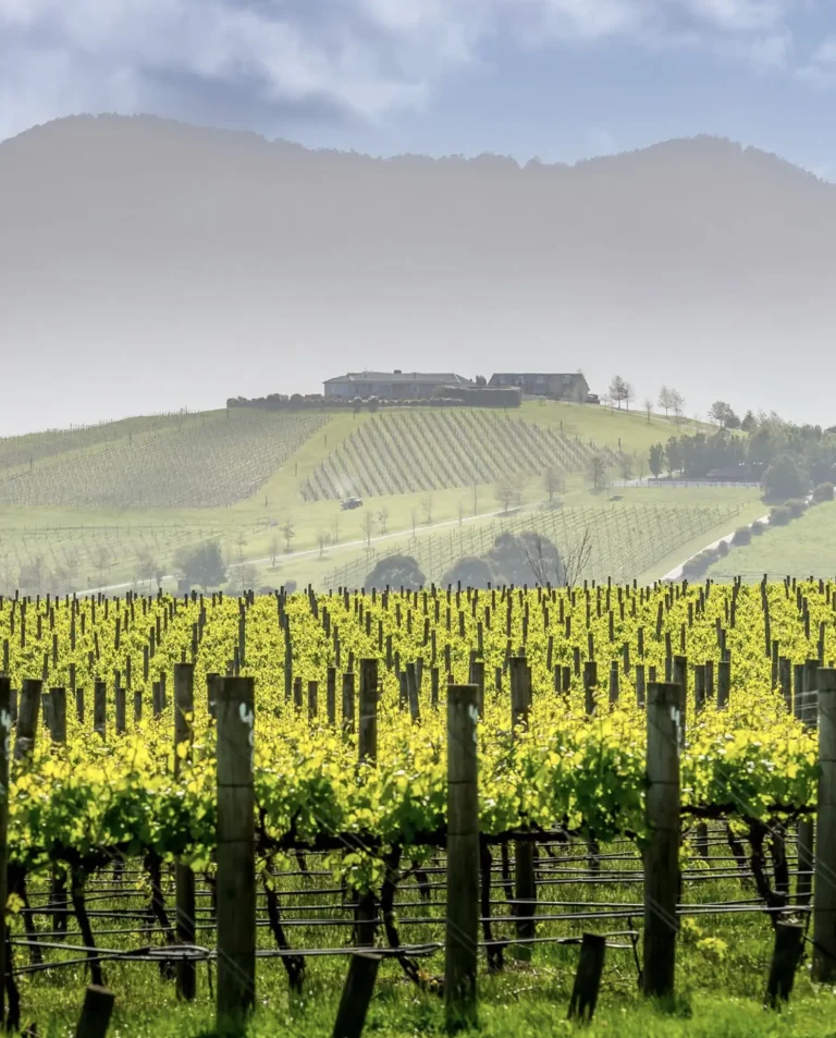 Yarra Valley, Victoria: Wine and Wilderness